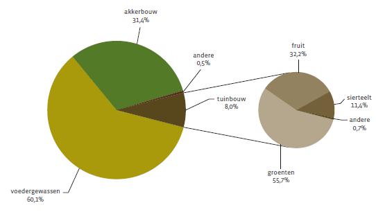 Tuinbouw-reststromen Belgische tuinbouwsector genereert 28% van de totale productiewaarde op slechts 8% van de landbouwgrond (50.