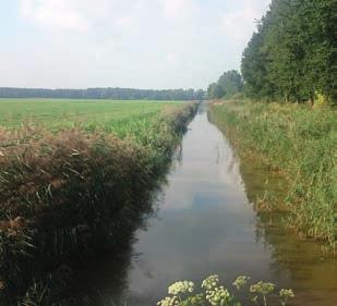 MAAIBELEID. HOE WERKT HET? Om ervoor te zorgen dat het watersysteem in Flevoland op orde blijft, zorgt het waterschap ervoor dat de watergangen goed onderhouden worden.