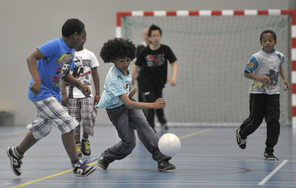 sportverenigingen, MJD, Huis voor de Sport, schoolbesturen, VMBO scholen en het Hanze Instituut voor Sportstudies.