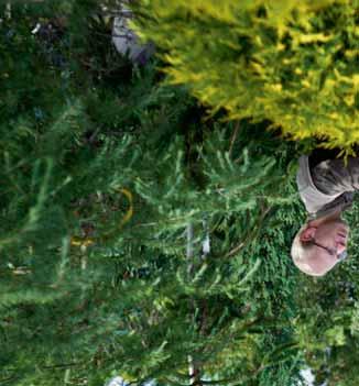 Teler houdt zijn bedrijf straks zelf ziektevrij Nieuwe Plantgezondheidsverordening eist meer preventie van teeltbedrijven In december 2016 publiceerde de EU de nieuwe Plantgezondheidsverordening