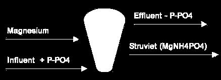 Fosfaatverwijdering Struviet reactor 1. Toevoeging van Magnesium aan dunne fractie 2.