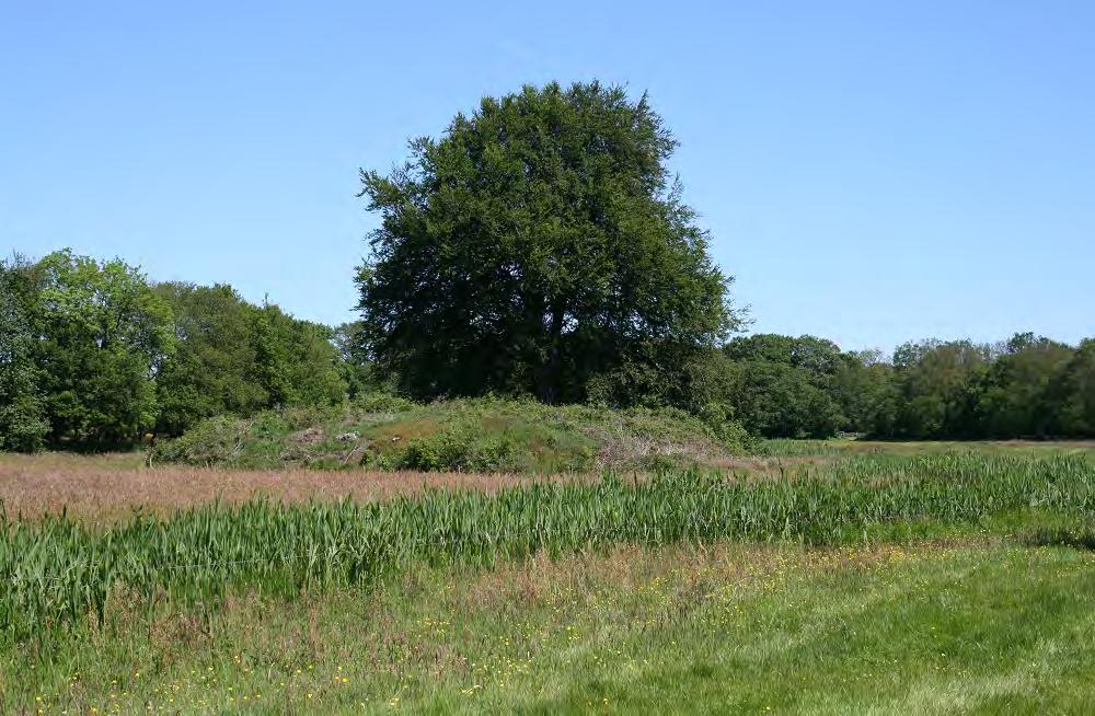 2 Landgoed Rheebruggen kaart GPS: 52 47 07.0 N 6 17 38.9 E Op klinkerweg LA over Landgoed Rheebruggen. Weg volgen tot KP 55. Hier LA richting Dwingeloo.