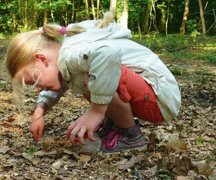 BASISONDERWIJS 2 e en 3 e graad KRIEBELBEESTJES EN HUN OMGEVING Onder de herfstbladeren en takken leven allerlei boeiende, nuttige, kleine diertjes.