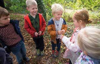 HERFST IN HET PROVINCIEDOMEIN We trekken erop uit om te genieten van de prachtige herfstkleuren.