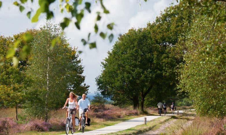 5 Vernieuwde fietsnetwerkkaart Salland Sallandse Zandloper en nieuwe wandelkaart Wandel van hoog naar laag dwars door Salland.