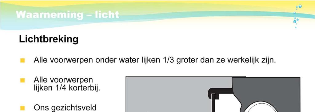 Onder water lijkt een vis 1/3 groter dan