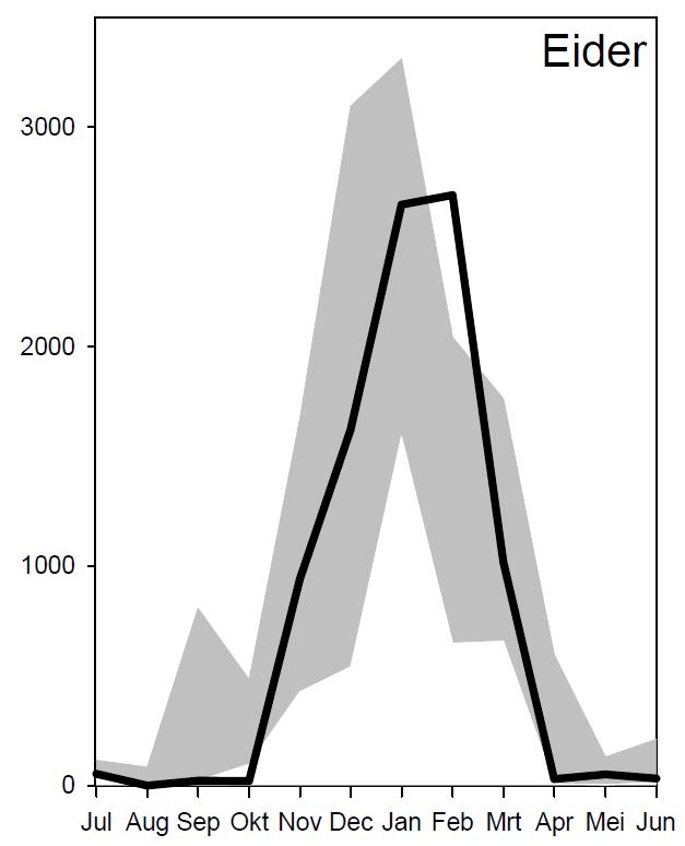Figuur 4.4. Seizoensverloop van de eider in 2010-2011 (lijn) en spreiding over de seizoenen 2007-2008 t/m 2009-2010 (grijs) (overgenomen uit Strucker et al.