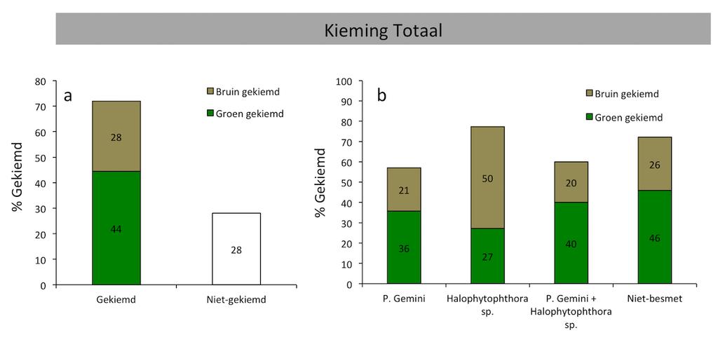 A&W-rapport 2231 Effecten van kopersulfaat en zoutgehalte op (Halo)Phytophthora-besmetting en de zaadkieming van Groot 13 3.2.2 Kiemingspercentages In totaal kiemde 72% van alle zaden in de proef en 28% van de zaden kiemde niet.