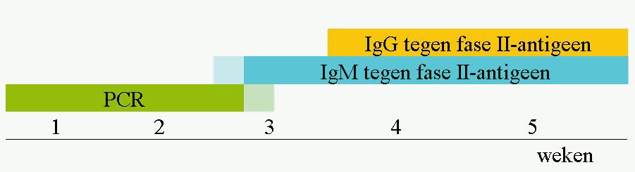 IgG tegen fase II-antigeen IgM tegen fase II-antigeen 1 2 3 4 5 weken FIGUUR 1 Het worden van testuitslagen na het begin van symptomen van Q-koorts.