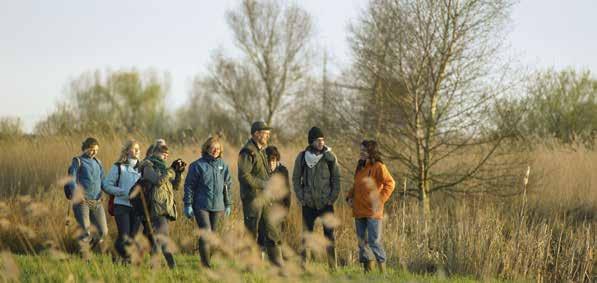 Over het Horsterwold Het Horsterwold ligt in het zuidoosten van Flevoland. Het is met 3.700 hectare het grootste aaneengesloten loofbos van Europa.