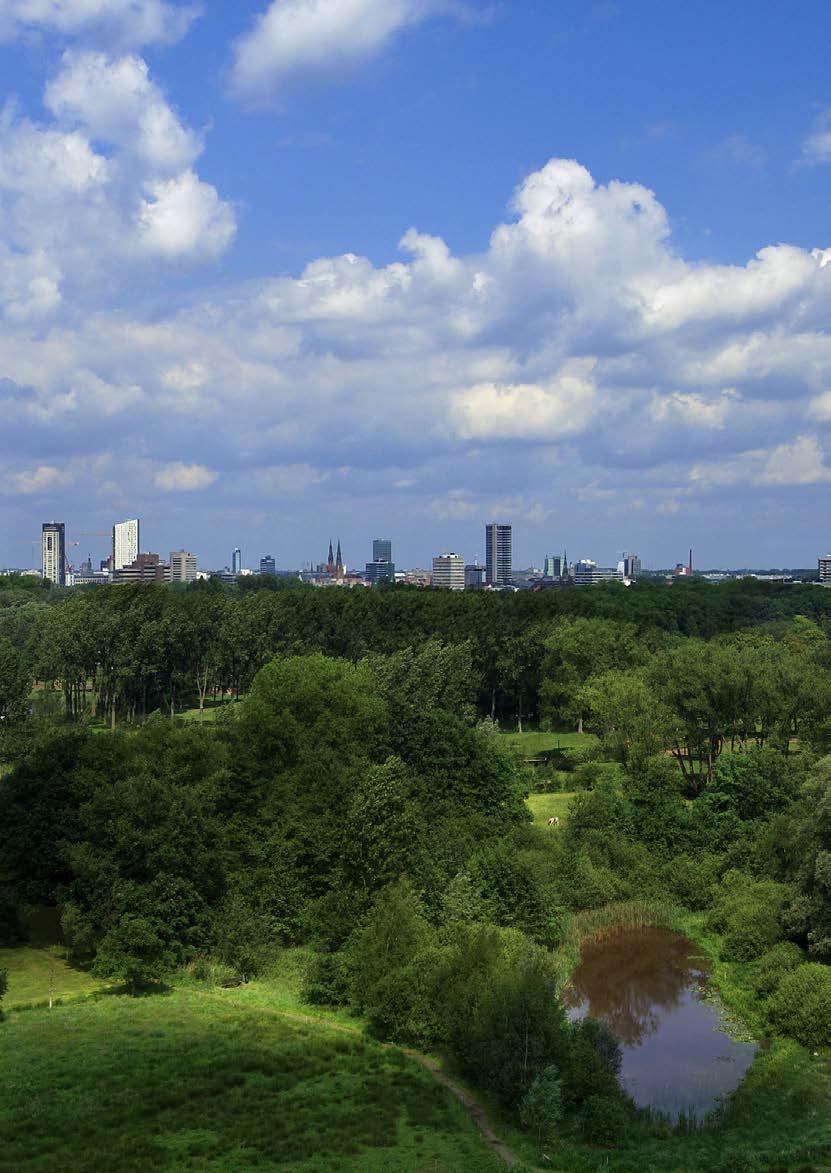 1 Regionale groenstructuur Rondom Eindhoven ligt een aantal landschappen met grote kwaliteit: Het Groene Woud, Oirschotse Heide, Boven Dommel, Groote Heide en het Rijk van Dommel en Aa.