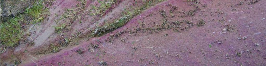 beddingsediment (zand; tijdens het experiment is kleurstof aan het water toegevoegd);