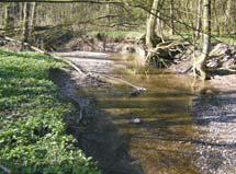 In het verdere verloop tot de waterkering Herbrum in het noordelijke deel van de Landkreis Emsland wordt de Eems toegewezen aan het type Door zand en leem gekenmerkte laaglandrivier (240 km).