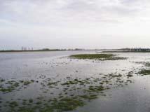 Terwijl het zuidelijke stroomgebied met name wordt gekenmerkt door het type Stromende wateren in laagvlakten, komen in het midden en noorden van het stroomgebied de typen Door zand gekenmerkte