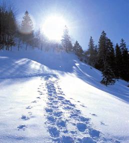 Harz Skigebieden In de Harz zijn er verschillende skigebieden, de bekendste zijn: -