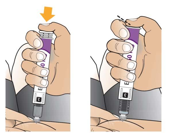 STAP C: Verwijder beide naaldbeschermers en injecteer uw geneesmiddel Verwijder de naaldbeschermers Verwijder voorzichtig de buitenste naaldbeschermer, en dan de binnenste naaldbeschermer.