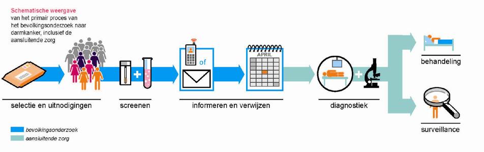 4. Uitvoering Het primaire proces betreft de screening van mannen en vrouwen in de leeftijd van 55 tot en met 75 jaar op (voorstadia van) darmkanker.