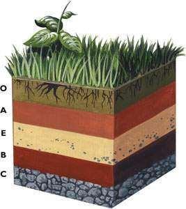 Als je een dwarsprofiel in de grond graaft, zijn bodemhorizonten soms goed te zien.