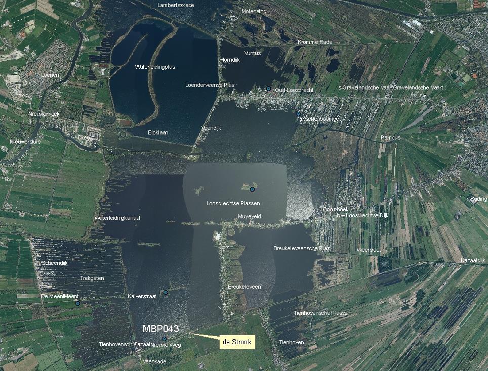 2 Beschrijving van de zwemwaterlocatie 2.1 Situering en beschrijving De Loosdrechtse Plassen zijn ontstaan door veenafgraving.