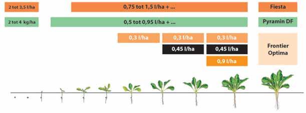 Figuur 1: Toepassingtijdstippen Fiesta/Pyramin DF en Frontier Optima Toepassingswenken Om klontering van Pyramin DF tijdens het vullen te voorkomen, het product rustig uit de verpakking laten stromen.