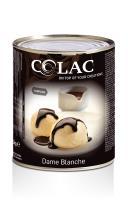 chocoladegarnituur of ijskoekje brownie COUPE BRESELIENNE vanille ijs hazelnoot ijs (
