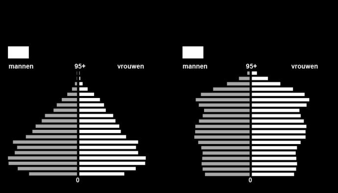 De hoogste leeftijdsgroepen (75+) groeien het sterkst.