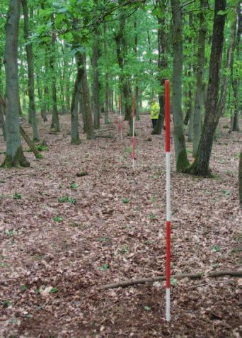 Uiteindelijke doel is een goede indruk te krijgen van de gaafheid dan wel aantasting van het oorspronkelijk aanwezige microreliëf van het Celtic field.