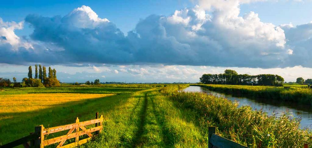 Het platteland en de Nederlandse opgave: onze inzet Blijvende investering in platteland noodzakelijk Wet- en regelgeving moeten oog hebben voor belang en positie platteland P10 staat achter voorstel