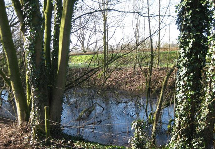 Kenmerken dorp Brummen Brummen is ontstaan op één van de oeverwallen langs de IJssel naar het dekzandgebied ten oosten van de Veluwe.