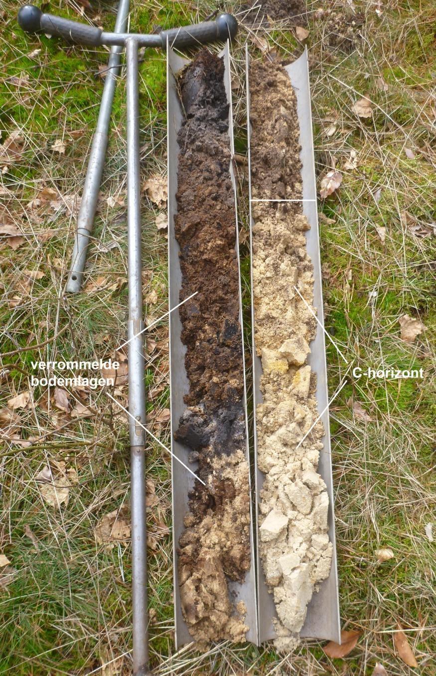 minder diep verstoord tot 70 80 cm beneden maaiveld. Ter plaatse van boring 7 is nog een restant van de oorspronkelijke podzolbodem herkenbaar in de vorm van een B- en BC-horizont.