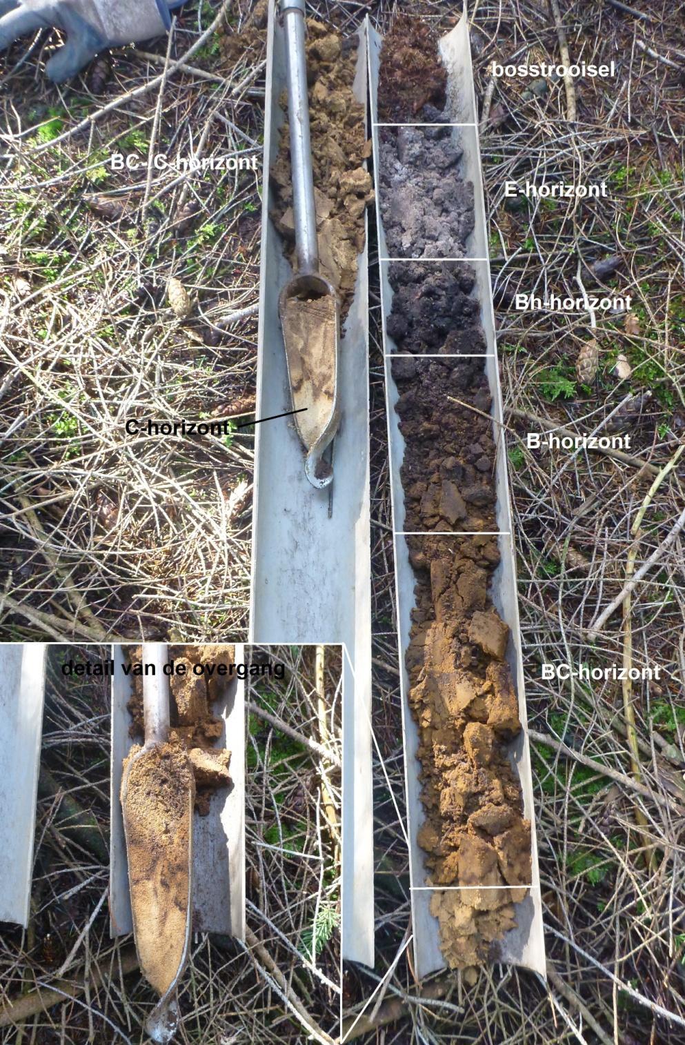 Fig. 3.4: Opgeboorde sediment van boring 19. 3.3 Archeologische interpretatie Uit het onderzoek blijkt dat de bodem bij de ontginning van de heide inderdaad diep is omgezet tot gemiddeld een meter beneden maaiveld.