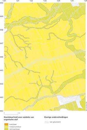 karteringen en de Geomorfogenetische kaart van het zuiden van de provincie Utrecht, schaal 1:25.000 (Berendsen, 1982).