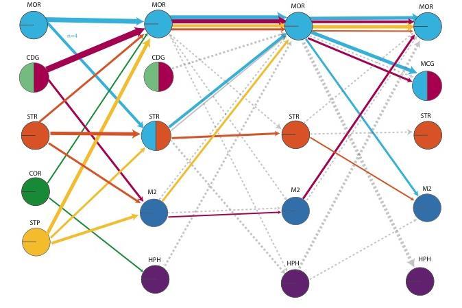 TNO-rapport TNO 2017 R10127 6 / 8 Daarom heeft TNO, in samenwerking met het International Life Sciences Institute (ILSI) Europe, een aanpak ontwikkeld voor het vergelijken van allergieën van de