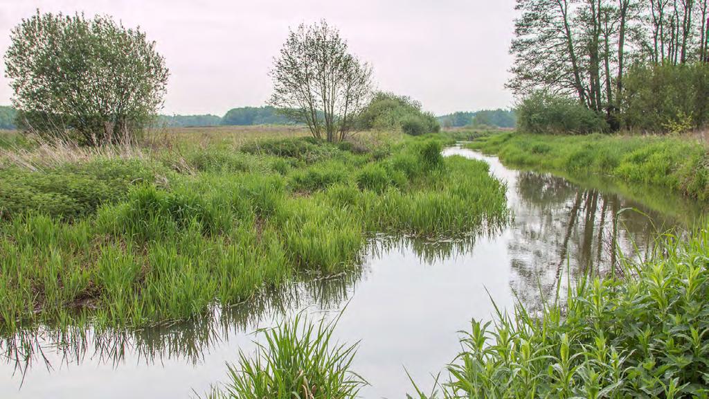 Schipborgsche diep, Zeegserloopje maar nergens in Drenthe