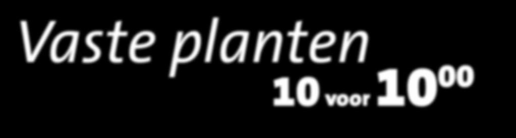 Vaste planten 10 10 per