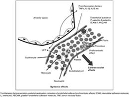 Hypothese toxiciteit van PM10/PM2.5 Lokaal PM10, PM2.