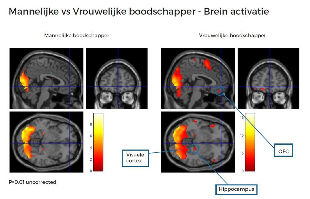 Conclusie: vrouwelijke