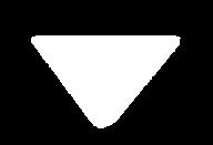 Wanneer een lap (ronde) geprint werd en de resultaten van de laatste lap in het overzicht weergegeven worden, verschijnt hier het LAP-symbool.