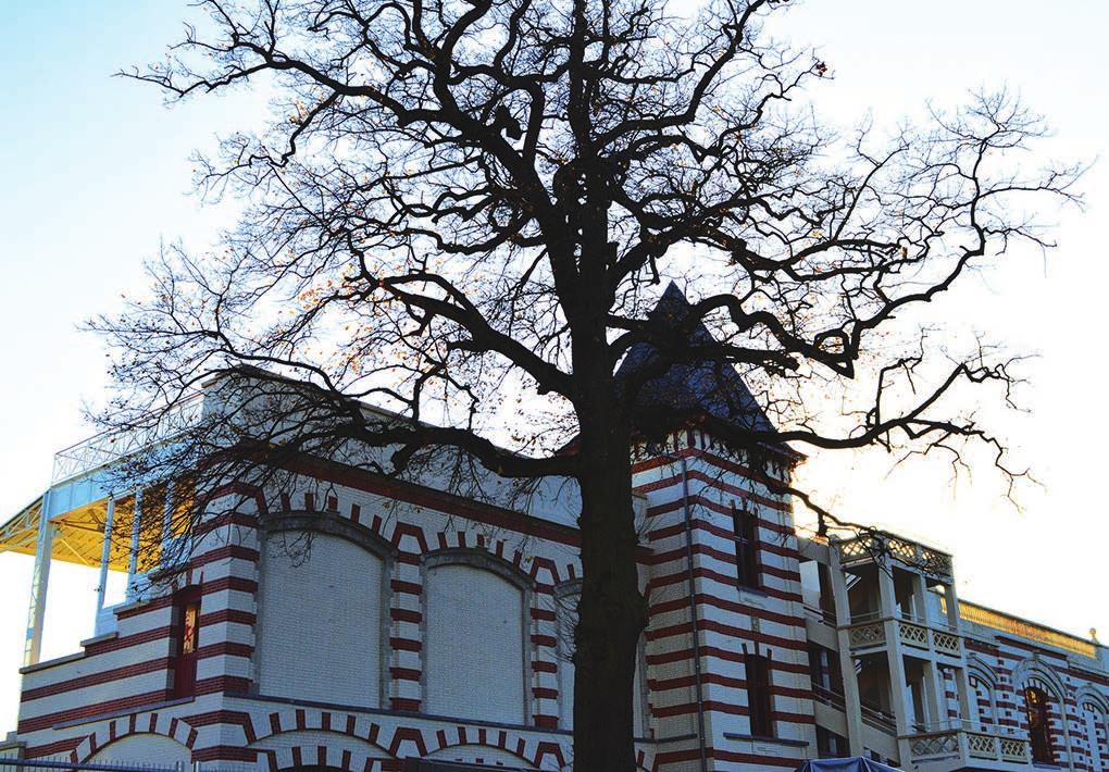 DROH!ME GERENOVEERDE GROTE TRIBUNE De renovatie van de grote tribune is bijna afgerond. Dit prachtige gebouw zal heel binnenkort uitgebaat kunnen worden voor wat het gedeelte met de zitjes betreft.