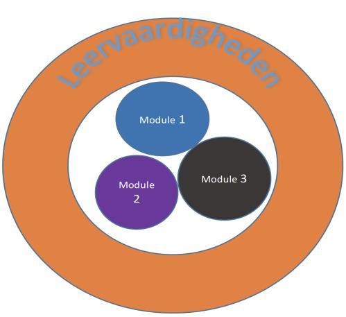 De leervaardigheden in relatie tot de modules Het keuzedeel gaat over het (verder) ontwikkelen van leervaardigheden.