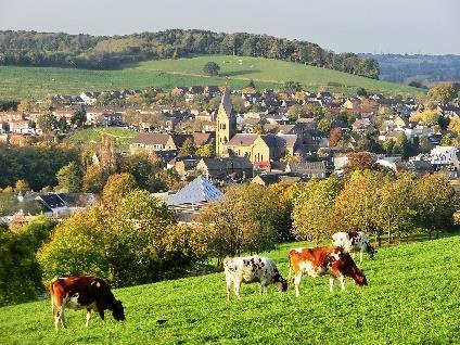 Over Gulpen Gulpen-Wittem is qua oppervlakte de grootste gemeente van Zuid-Limburg en is (naar onze mening) ook één van de mooiste gemeentes.