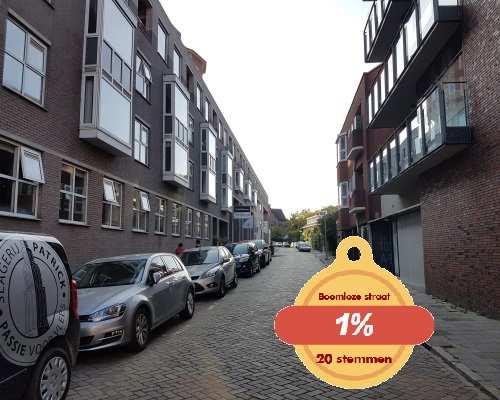 2.6 Favoriete straat Woordwolk favoriete straat We hebben gevraagd in welke straat respondenten zouden willen wonen als alles mogelijk was qua verhuismogelijkheden.