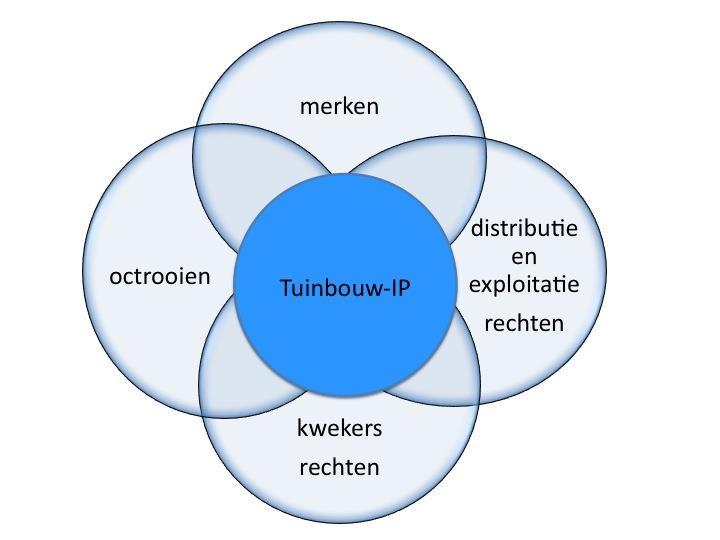 Stap 10: Mnitren en evalueren van de resultaten. IV.