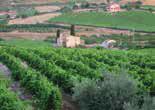 wijnbedrijf in Locorotondo. Door zijn grote kennis van het gebied zag hij dat veel wijnboeren moeizaam de omslag van eenvoudige naar kwalitatief goede wijnen konden maken.