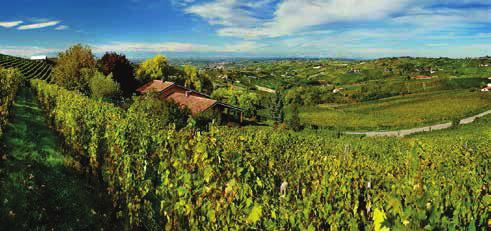 'Parafada' is een kleine wijngaard van maar 1,5 hectare in Serralunga d'alba, met stokken van gemiddeld 45 jaar oud. Massolino behoort de laatste jaren tot de absolute top in Barolo.