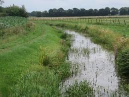 Landschap Het gebied van de beekdalgronden is vlak.