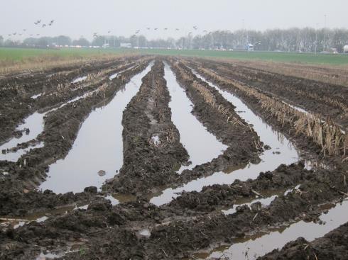 Scherven en resten van stenen