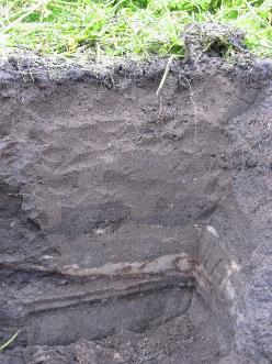 Wanneer alle kalk weg is wordt de grond zuur, verdwijnt het bodemleven en verdicht de grond.