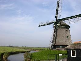 Landschap De duinen zijn zeer divers, maar de