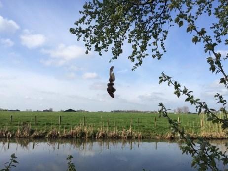 zwerfdieren naar het asiel; vangacties (ver)wilde(rde) katten; zorg voor overleden huisdier (naar begraafplaats, crematorium, destructor); informeren/doorverwijzen publiek naar juiste instantie(s).